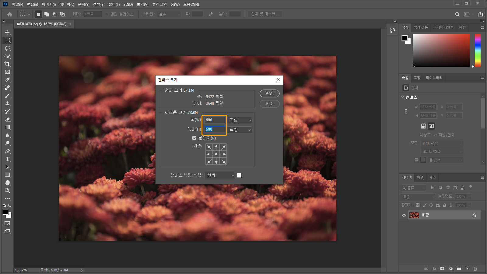여백 수치 입력