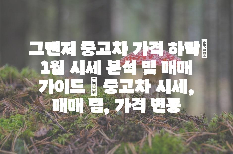 샘플 (42)