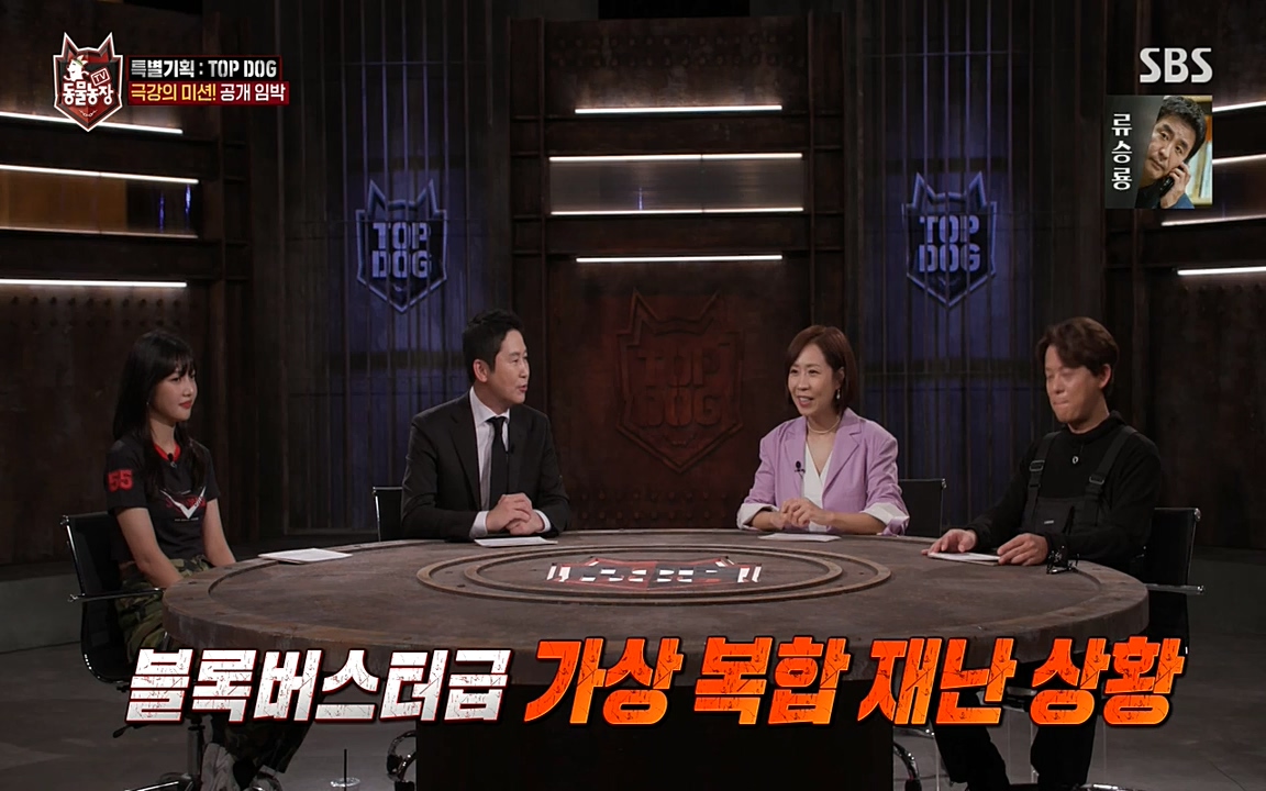 TV 동물농장.E1085.220905p-NEXT.mp4_20220904_173557.617.jpg