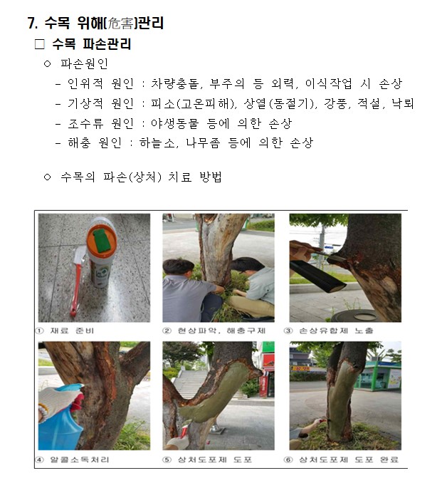 조경 수목 관리계획서