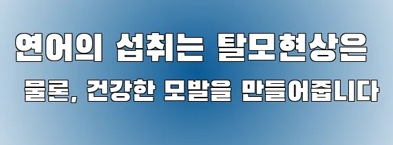 연어의 섭취는 탈모현상은 물론, 건강한 모발을 만들어줍니다