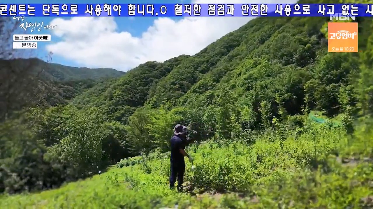 나는 자연인이다.E614.240718p-NEXT.mp4_20240718_195138.139.jpg