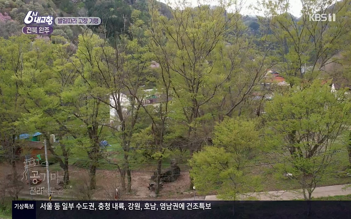 6시 내고향.E7523.220421p-NEXT.mp4_20220507_181130.247.jpg