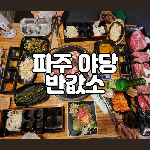 파주 야당 반값소