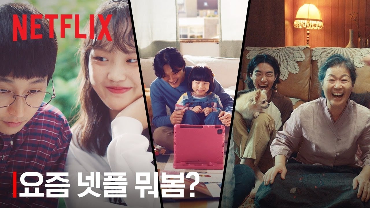 넷플릭스 시크릿 코드 정리