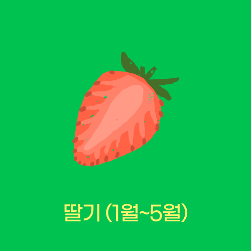 딸기