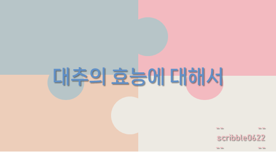  대추의 효능에 대해서