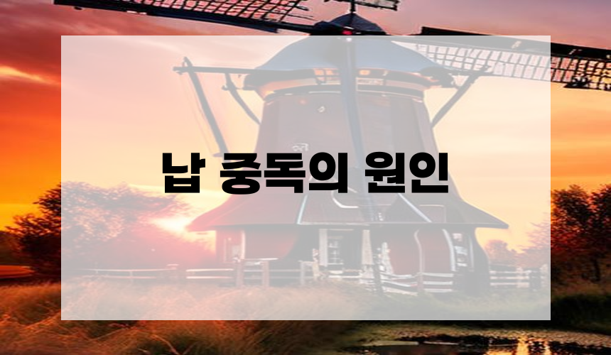 납 중독의 원인