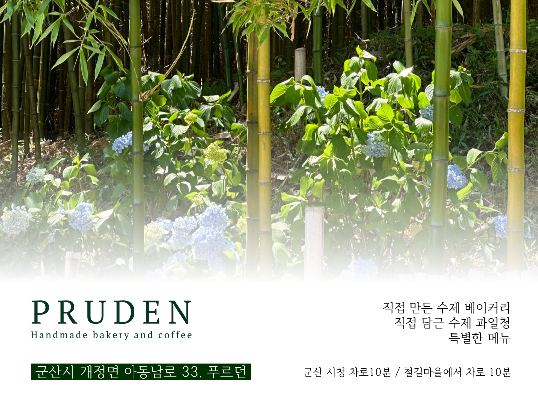 미르당 이미지