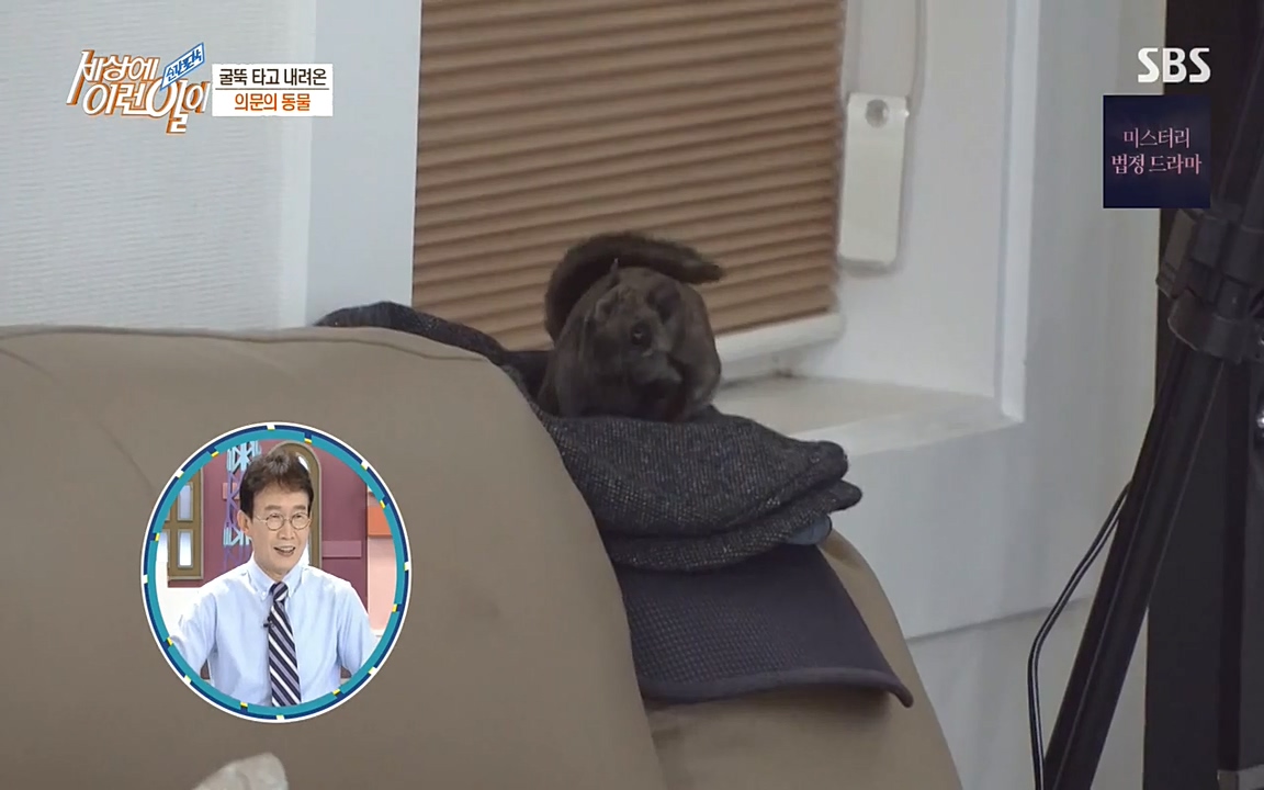 순간포착 세상에 이런일이.E1182.220532p-NEXT.mp4_20220601_173140.119.jpg