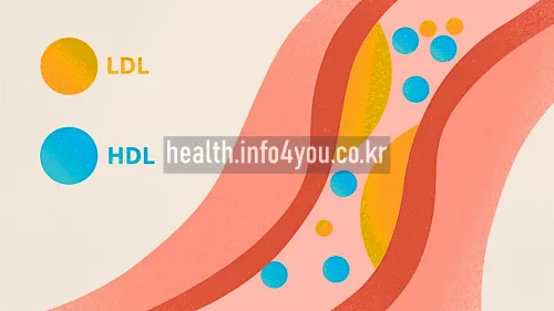 HDL 콜레스테롤이란?