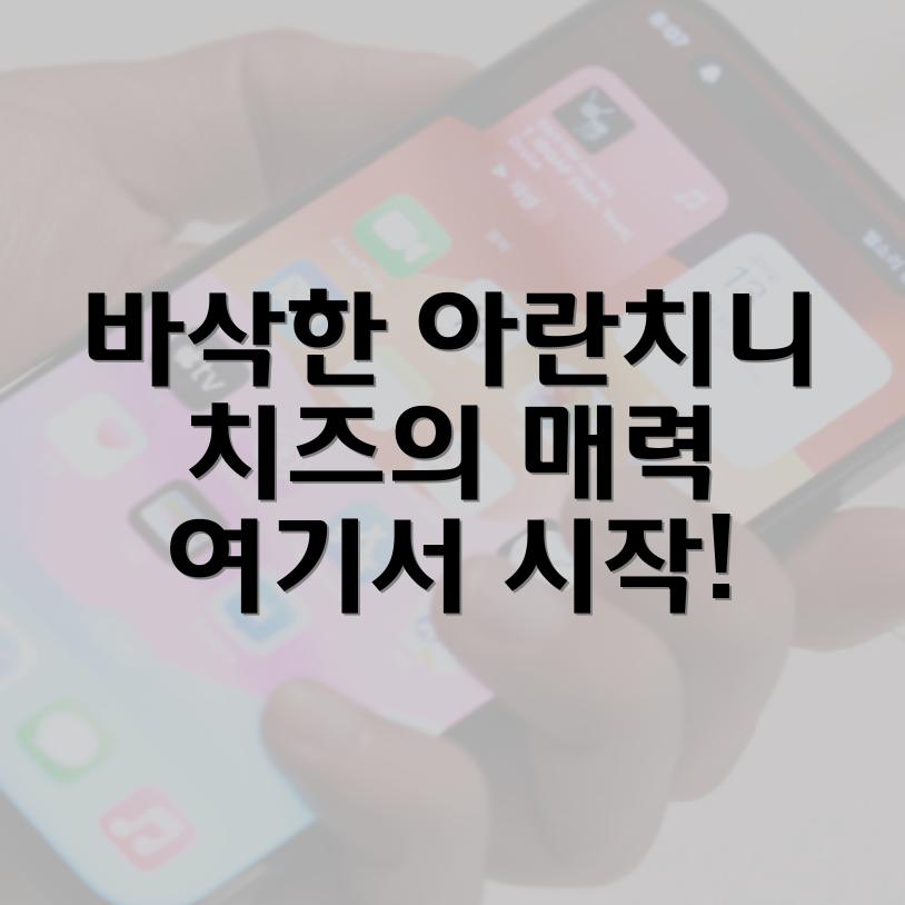 아란치니 볼