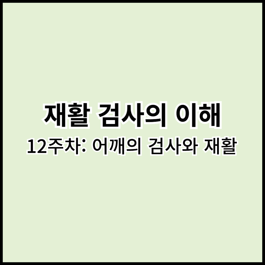 [재활검사이해] 12주차: 어깨의 검사와 재활