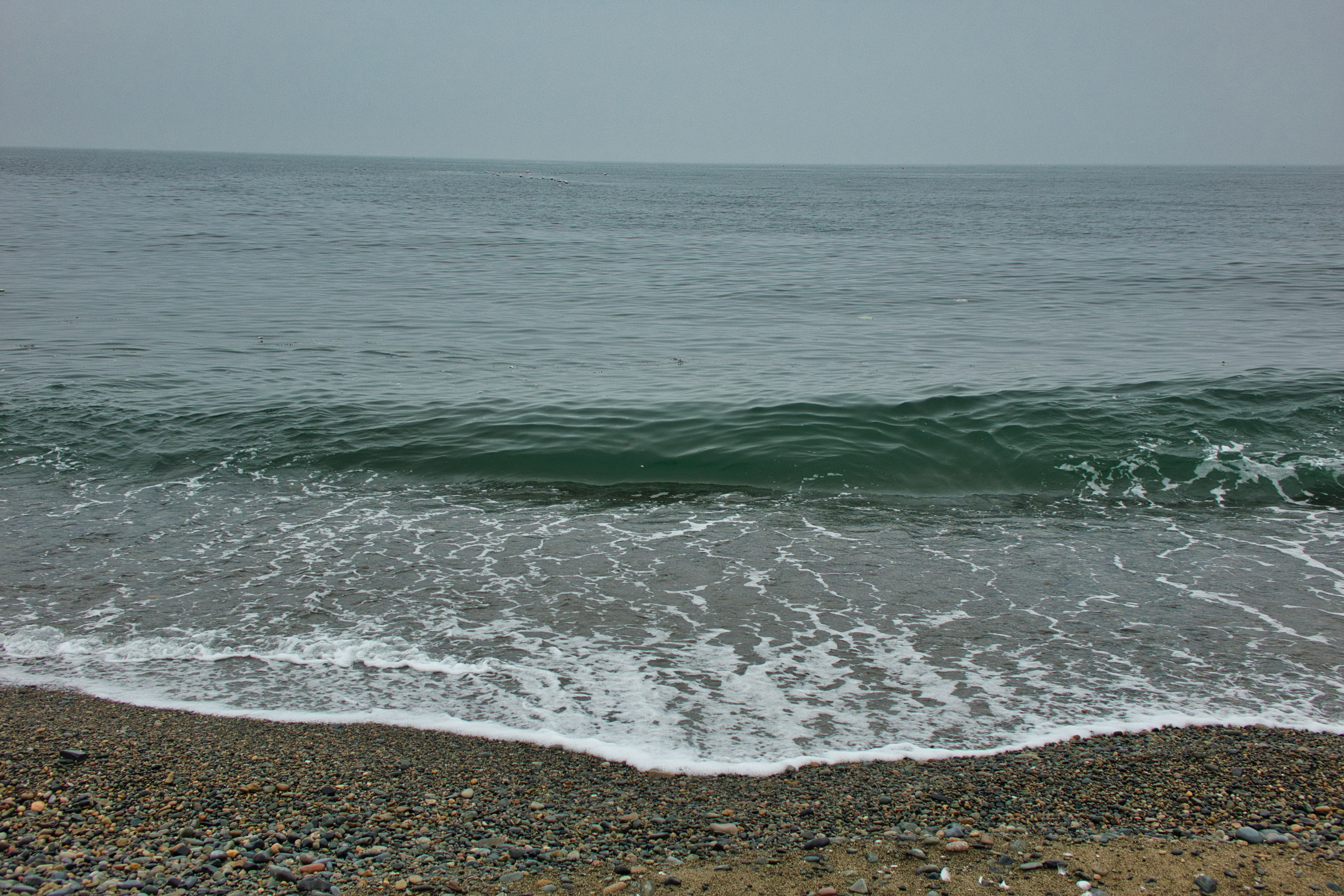img.jpg