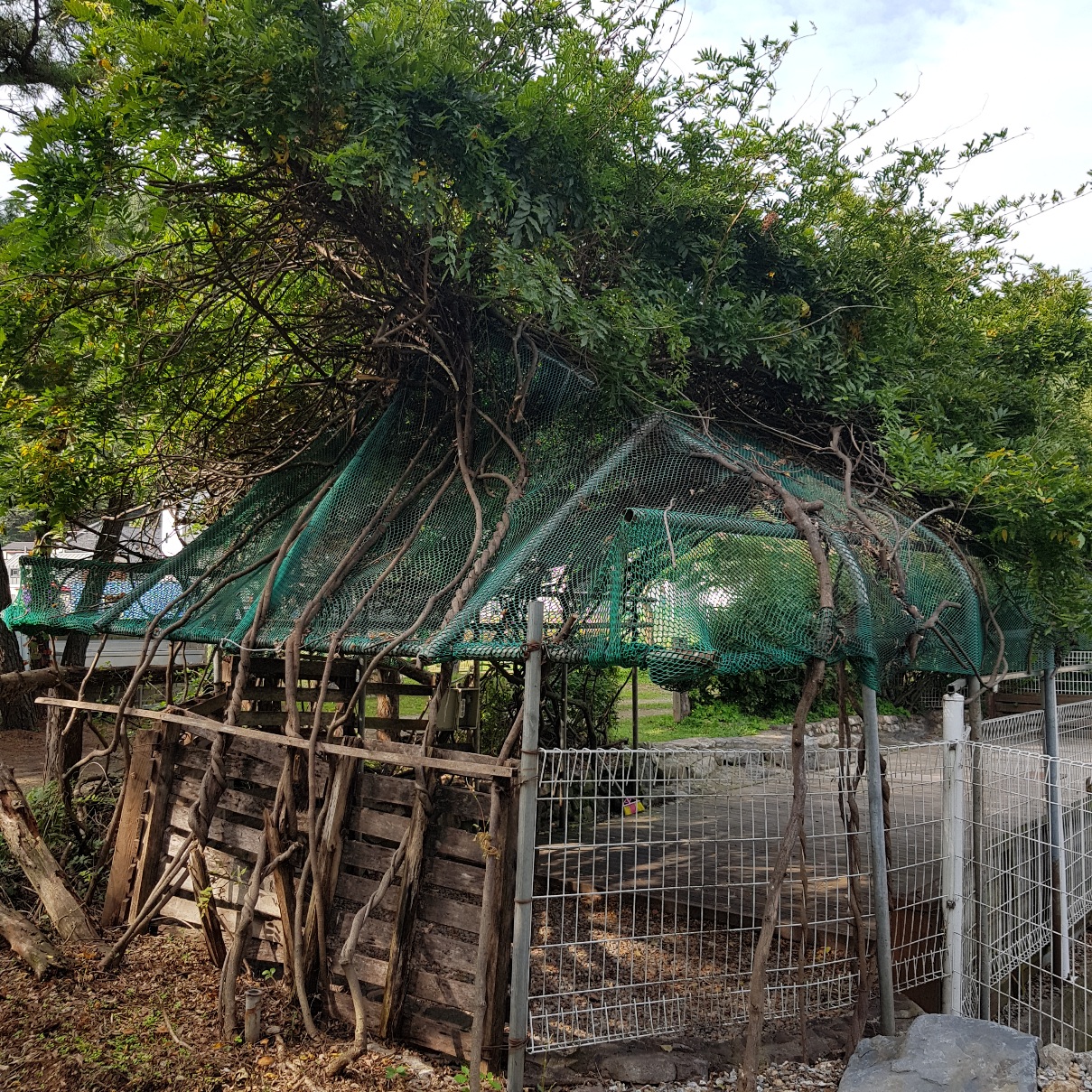 용인_문수산_오토캠핑장