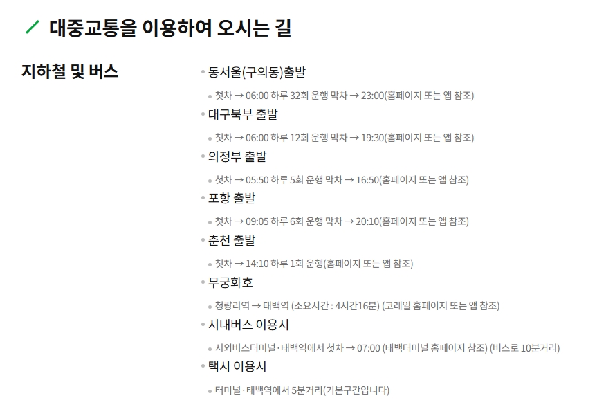 태백 면허시험장 대중교통 가는 길