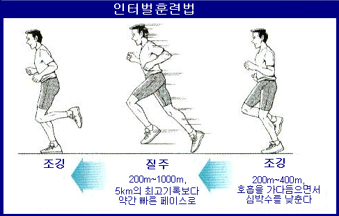 달리기 어플추천]Runday 런데이 어플 사용법 및 한달 사용 후기