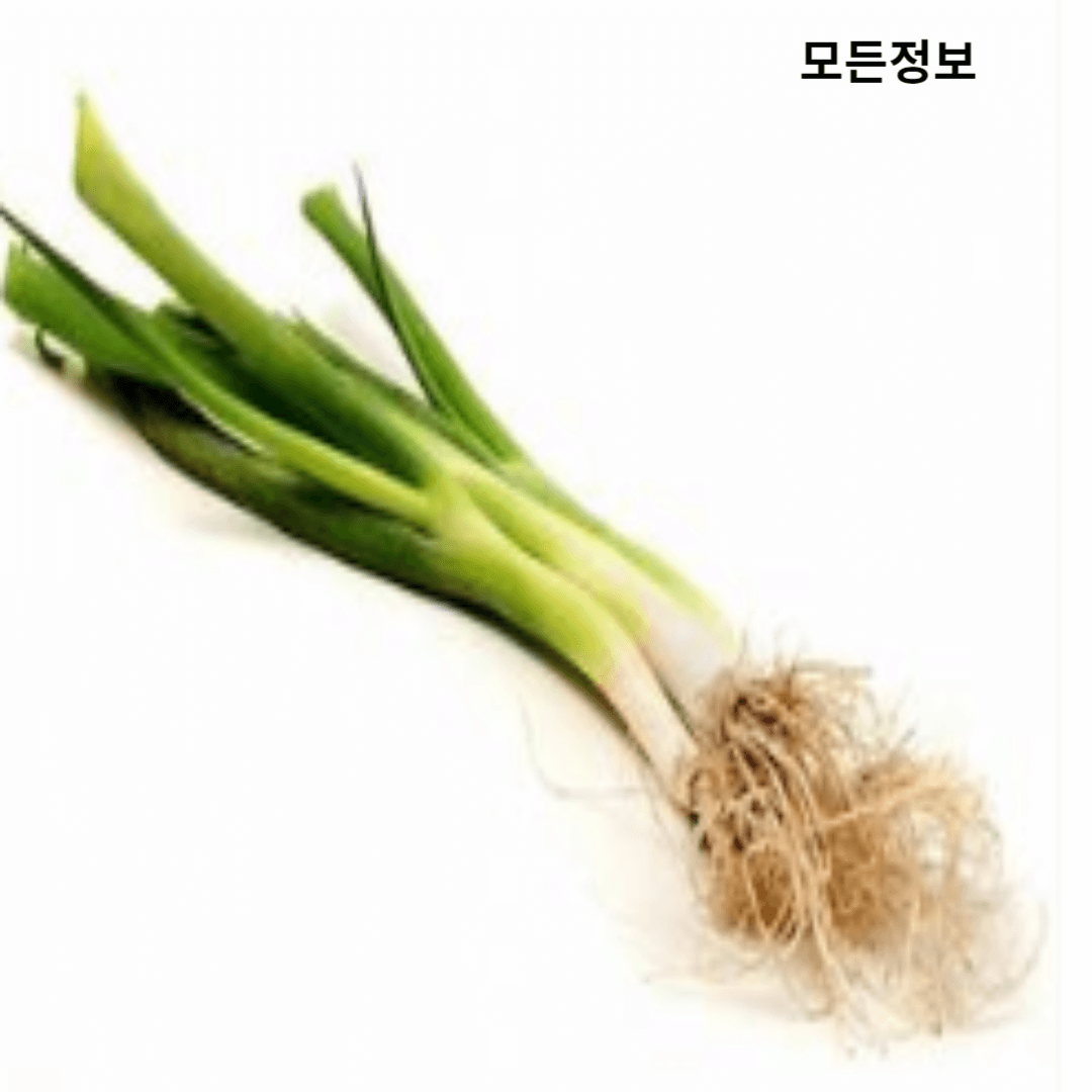 배추값 조회하기 및 폭등원인