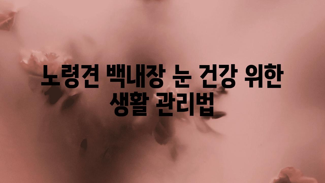 노령견 백내장 눈 건강 위한 생활 관리법