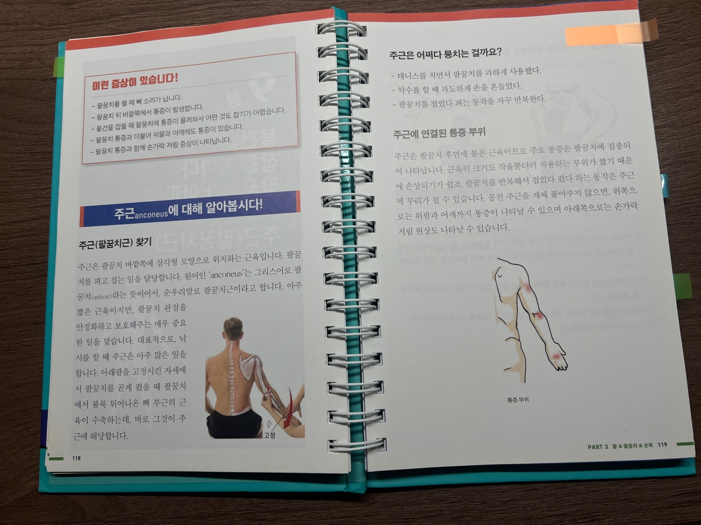 피지컬 갤러리의 하루 5분 내몸 관리법 부위별 스트레칭 관련 사진