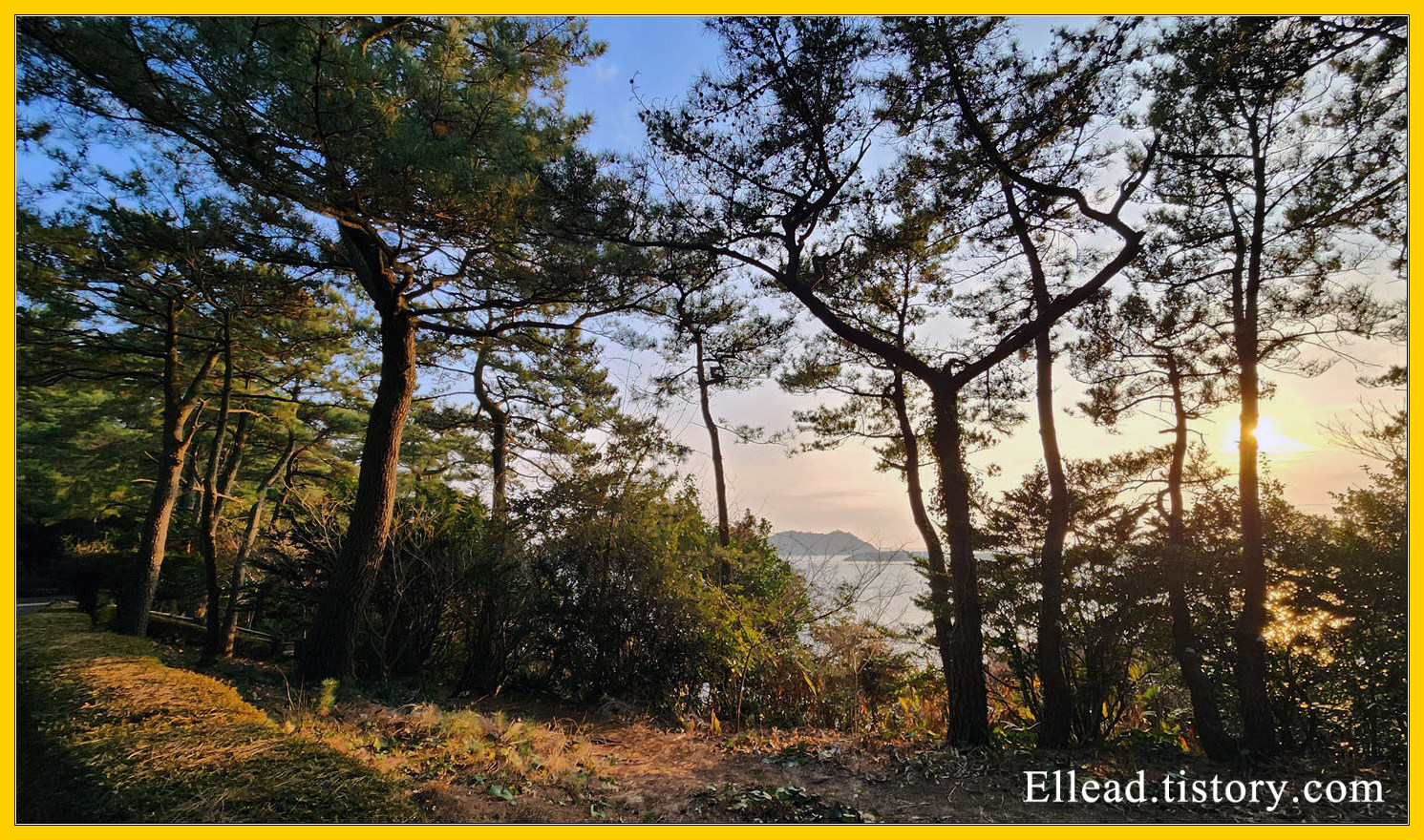 주차후 진입로에 들어서자마자 바로 서귀포 앞 바다가 보인다.