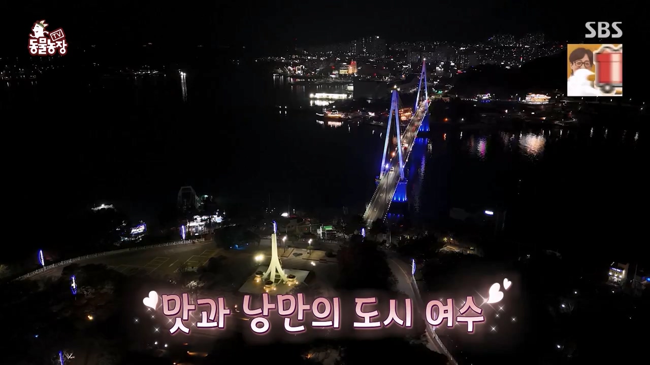 TV 동물농장.E1168.240422p-NEXT.mp4_20240421_170936.470.jpg