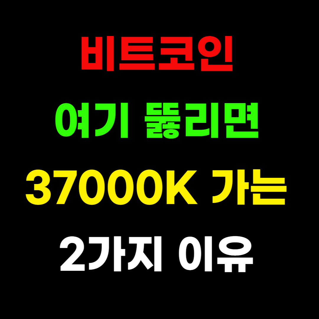 비트코인 공포지수·김프·트렌드·차트·시세·전망·시황 분석