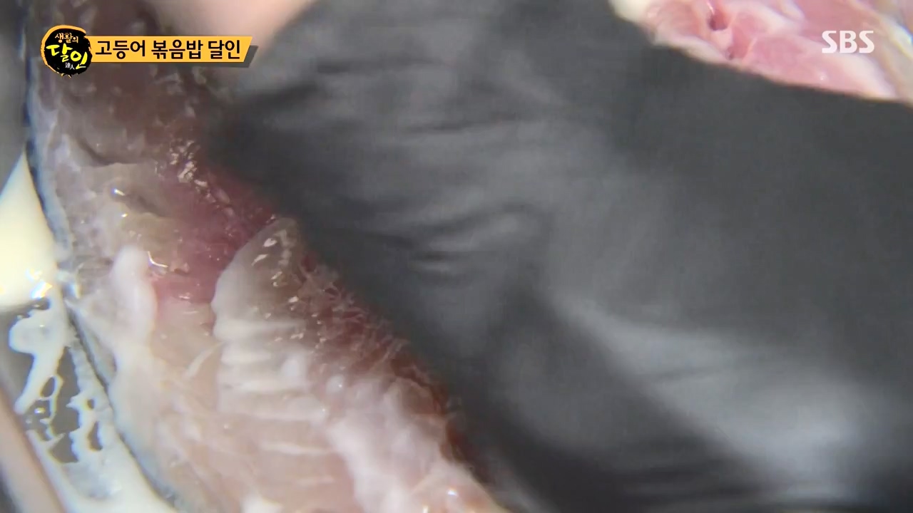 생활의 달인.E933.240430p-NEXT.mp4_20240430_200036.929.jpg