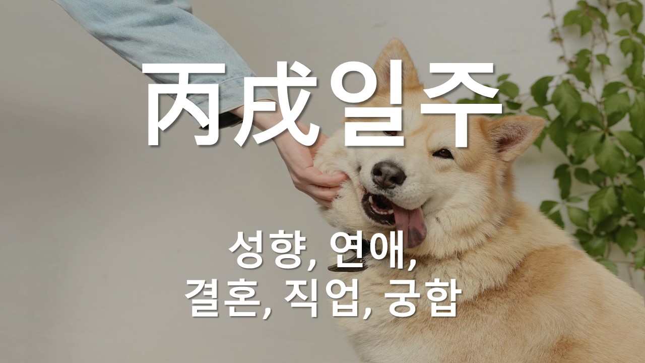 병술일주의 성향, 연애, 결혼, 직업, 궁합 병술일주의 성향, 연애, 결혼, 직업, 궁합