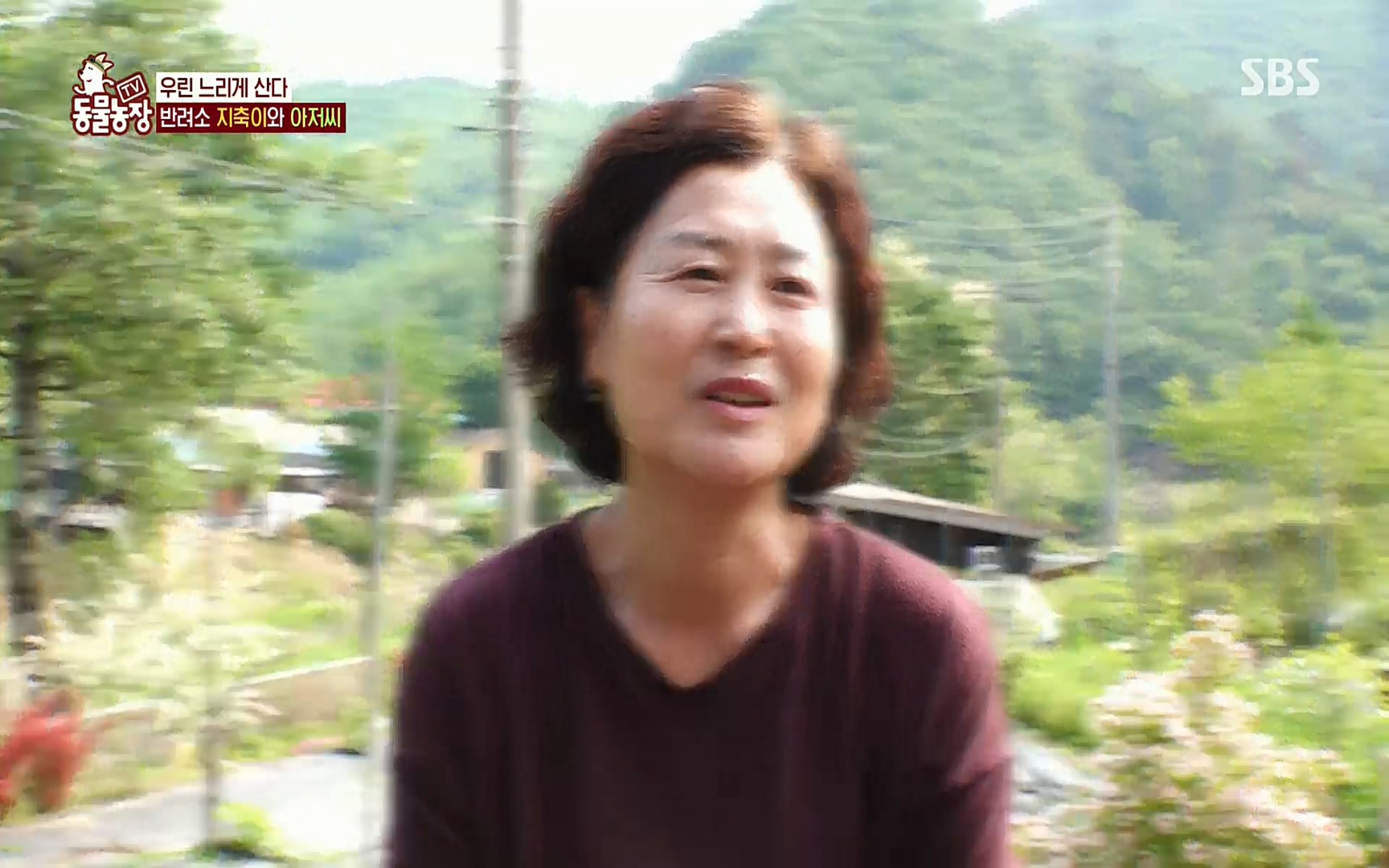 TV 동물농장.E1074.220619p.H264-F1RST.mp4_20220619_181501.851.jpg