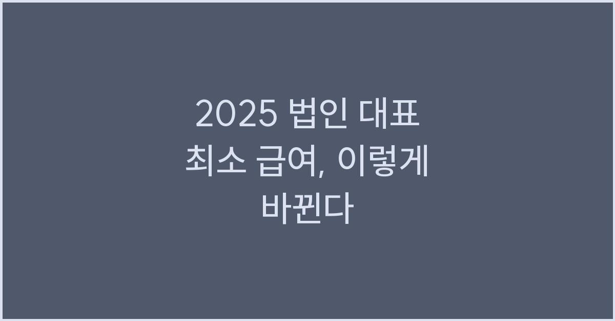2025 법인 대표 최소 급여