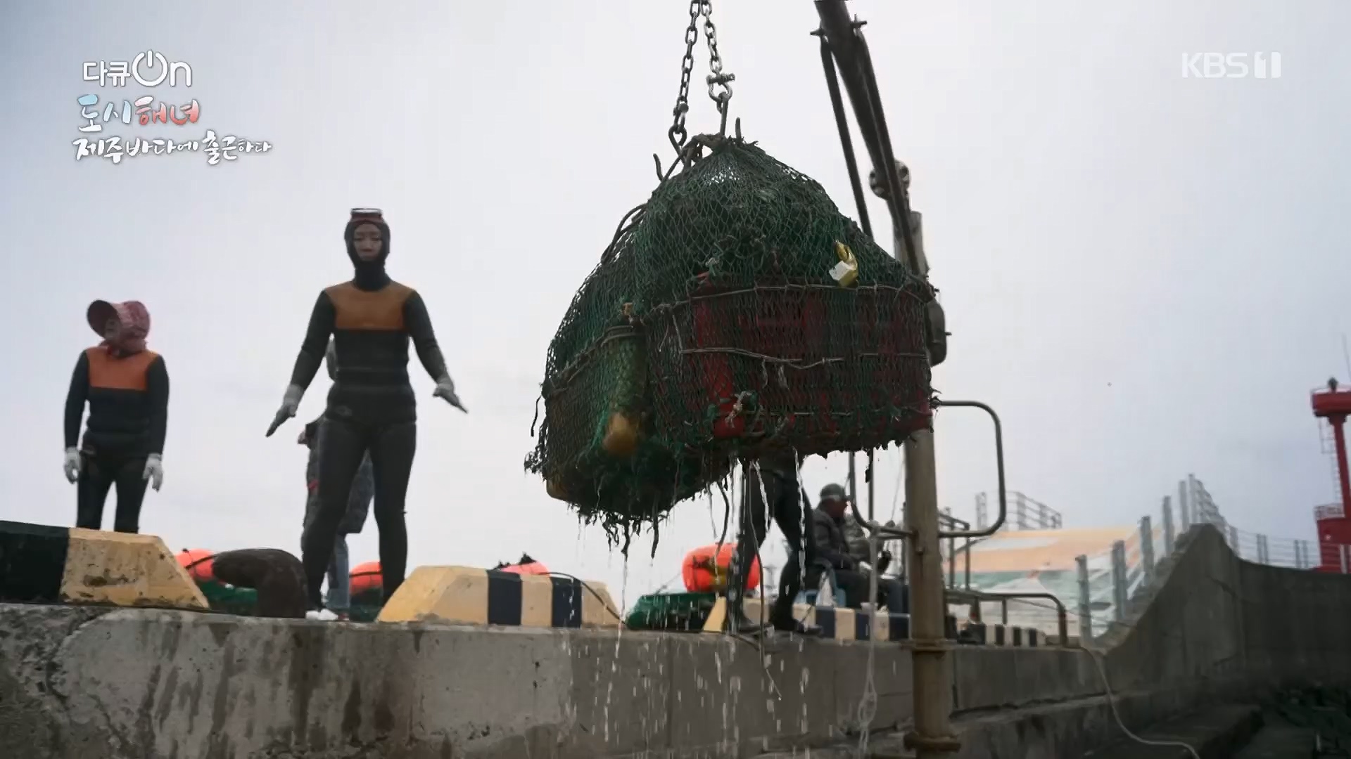 다큐 On.E197.230505p.H264-F1RST.mp4_20230507_133456.089.jpg