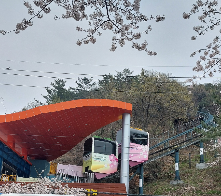 진해 군항제)진짜 재미있는 여행/진해 벚꽃 종일 투어/내돈내산 후기/군항제 후기 - undefined - "진짜 재미있는 여행" 진해 군항제)진짜 재미있는 여행/진해 벚꽃 종일 투어/내돈내산 후기/군항제 후기 - undefined - "진짜 재미있는 여행"