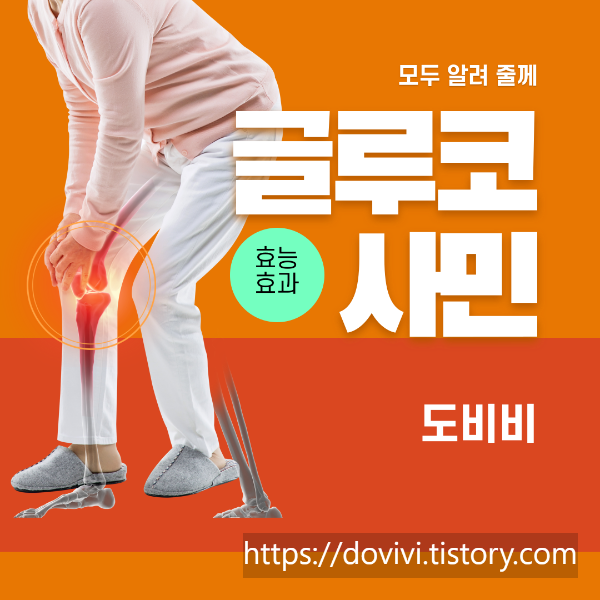  건강기능식품 글루코사민 효과 및 부작용 5분 투자 전문가 되기