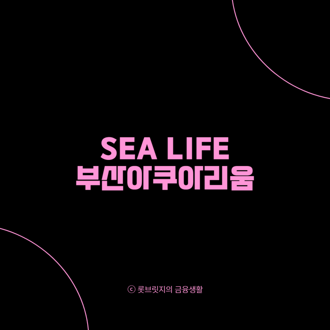 아이와가볼만한곳 12월 춥지만 나가고 싶어 4 [ 부산 ]