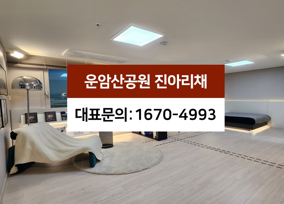 대표번호