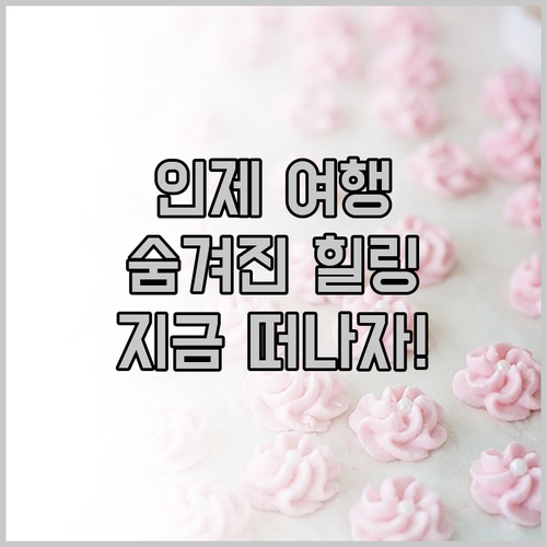 인제 플로팅 웨일 설악도적폭포 스테이