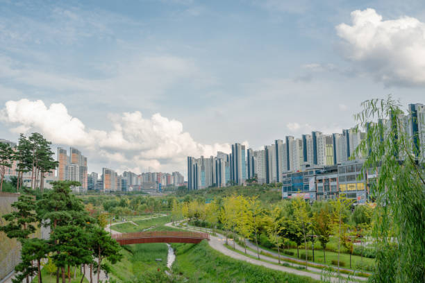 부동산 경매