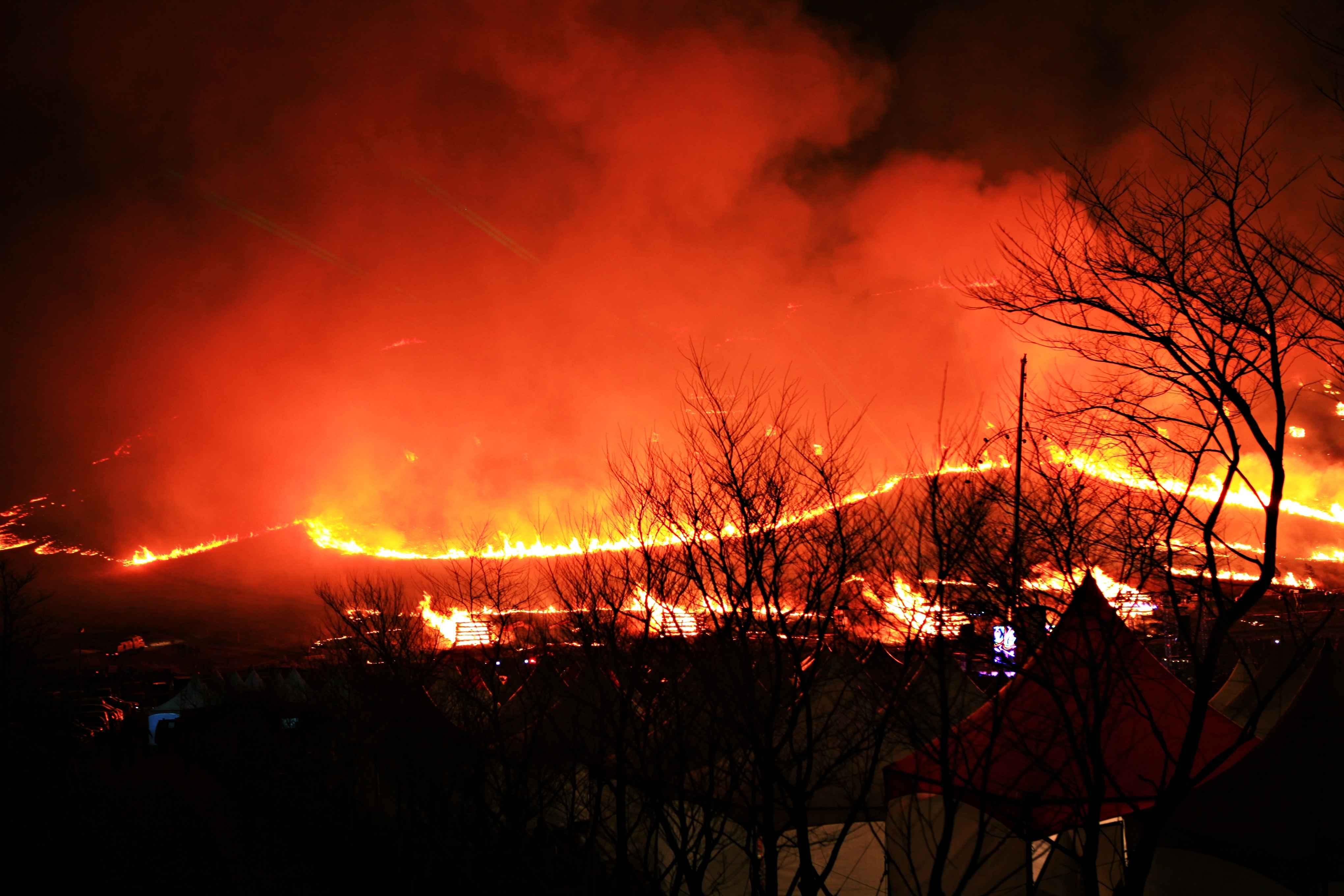제주 봄 축제 제주들불축제 2025