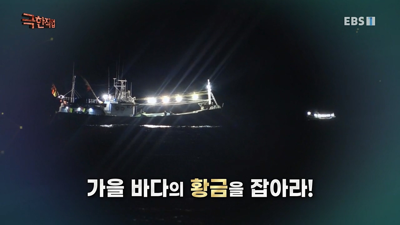 TV - 교육의 중심 EBS가을 바다 황금 조기잡이와 굴비 가공.mp4_20221122_195427.305.jpg