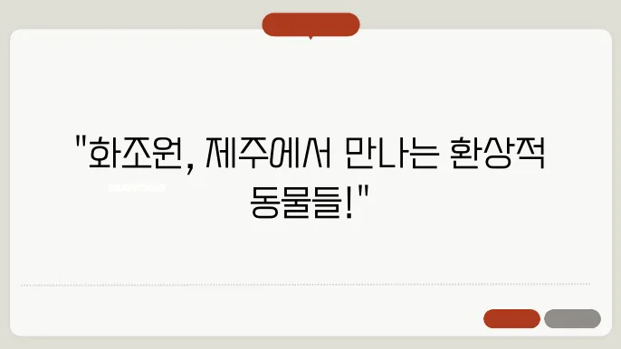 제주 화조원 공연의 다채로운 모습
