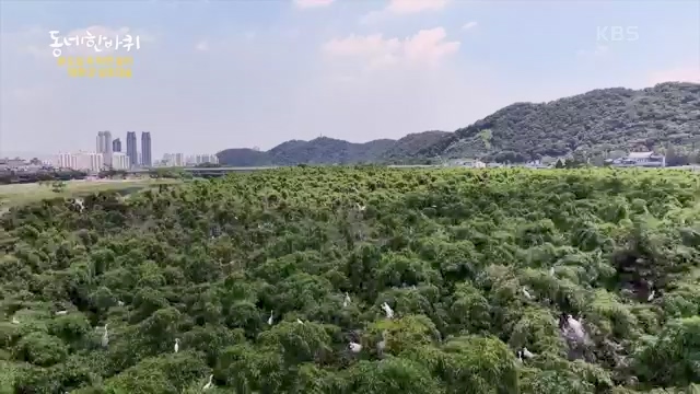 [228회] 동네 한 바퀴 - KBS.ts_20230803_205647.484.jpg