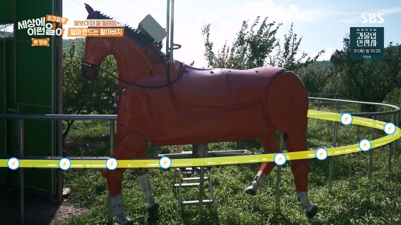 순간포착 세상에 이런일이.E1242.230820p-NEXT.mp4_20230820_190731.514.jpg