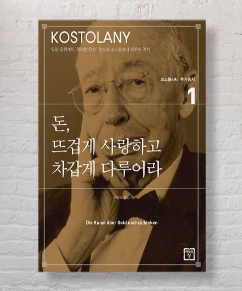  유럽의 워렌 버핏 코스톨라니 돈 뜨겁게 사랑하고, 차갑게 다루어라 핵심 정리