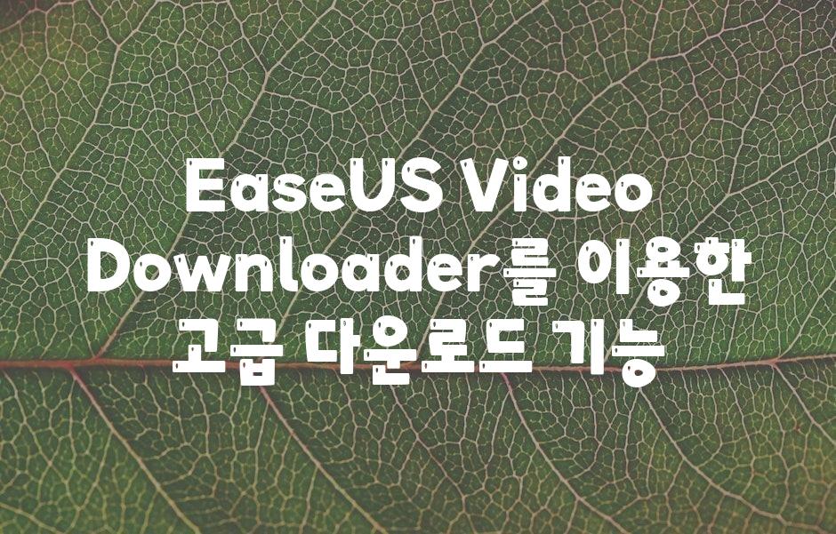 EaseUS Video Downloader를 이용한 고급 다운로드 기능