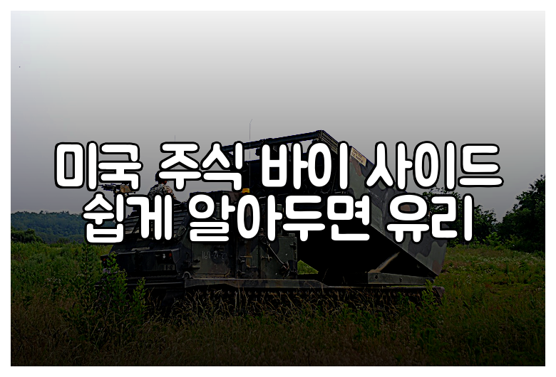 미국 주식 바이 사이드 쉽게 알아두면 유리
