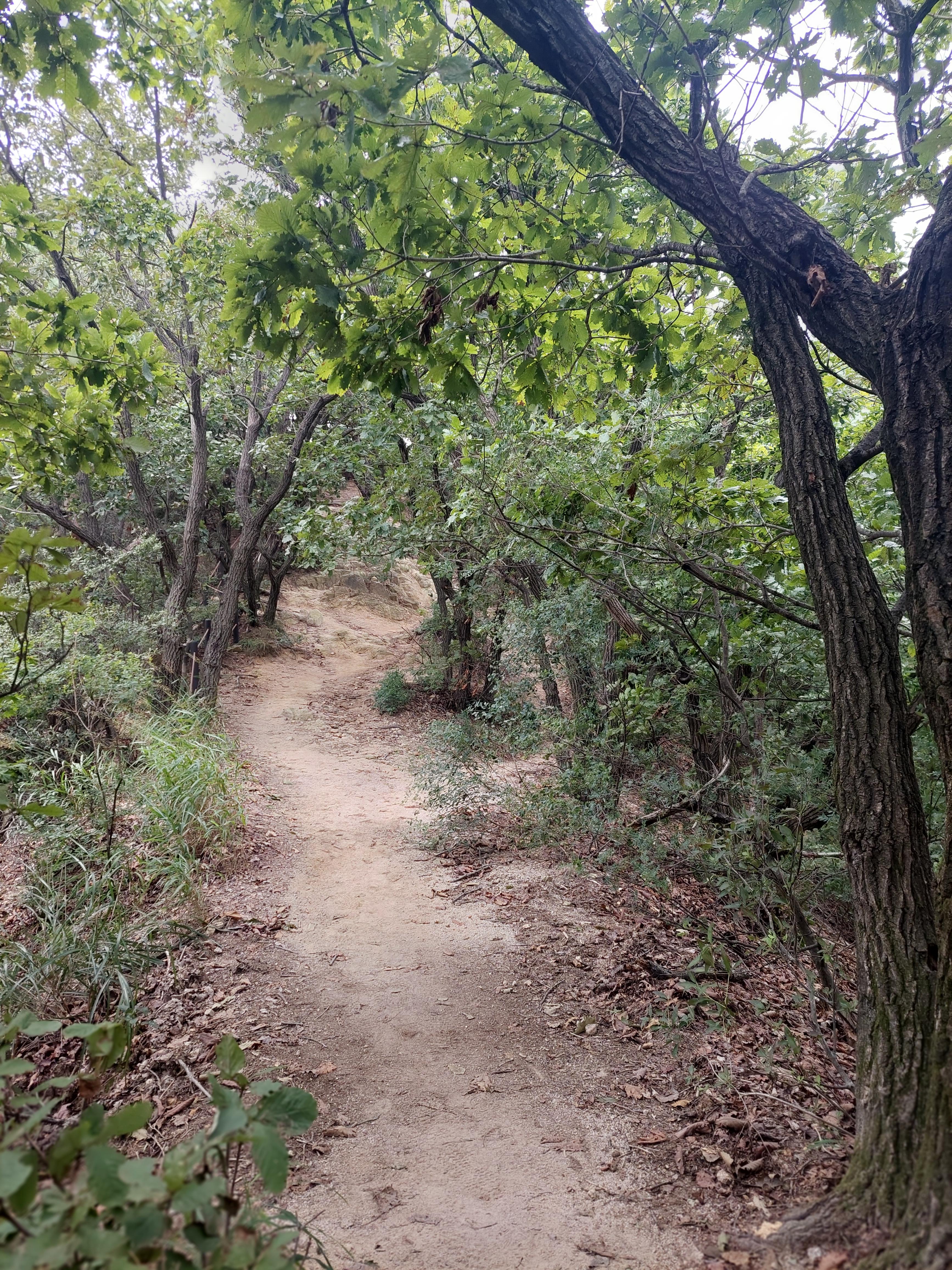 사패산