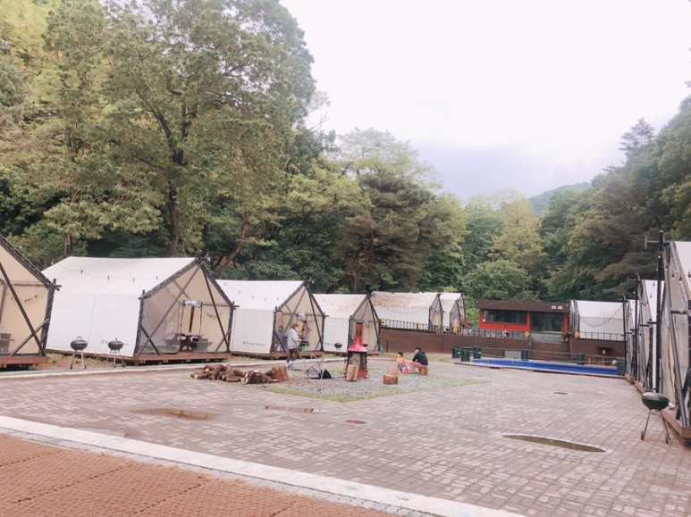 글램핑장 용인 양지리조트 보고 [아이와 갈만한 곳] 반려동물 동반 26