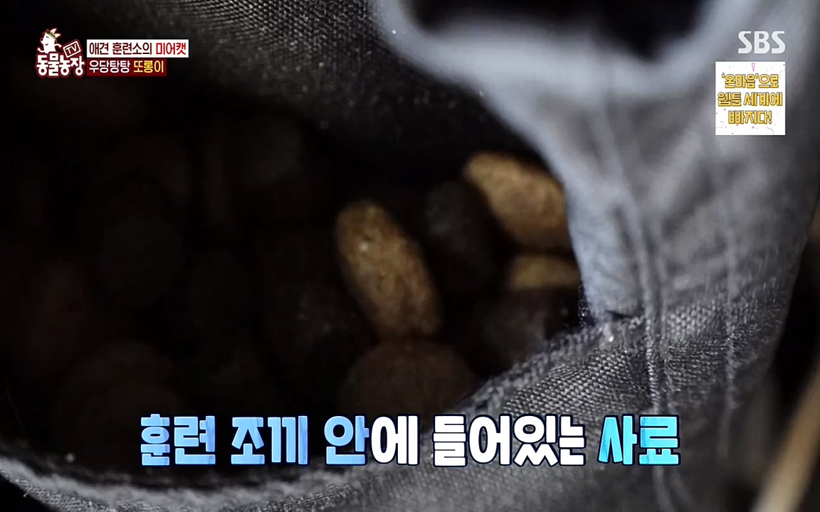 TV 동물농장.E1079.220725p-NEXT.mp4_20220724_151941.117.jpg