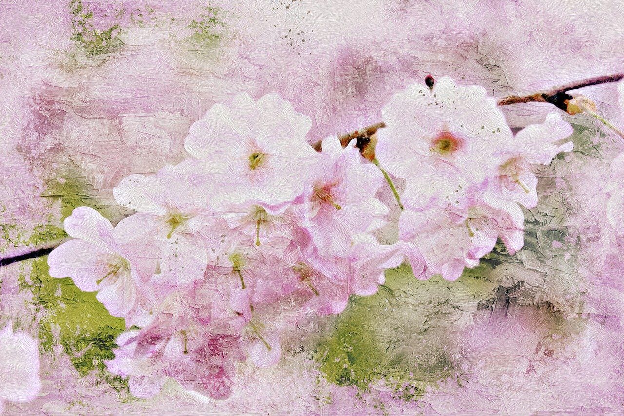 일본 벚꽃 여행